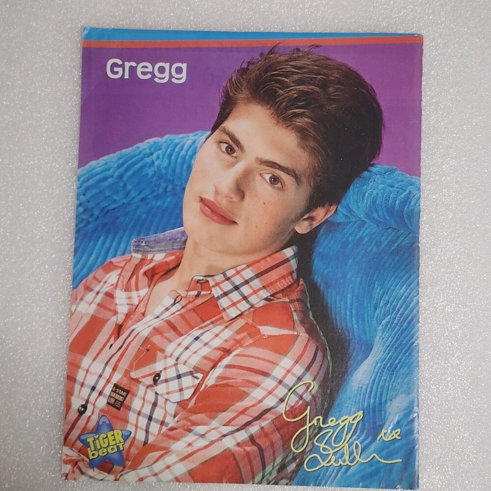 Gregg Sulkin facsimile autograph poster pinup clipping 8x10‎ 2000s